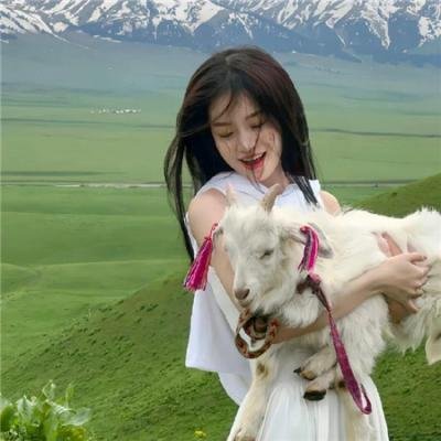 蓝色大丽花